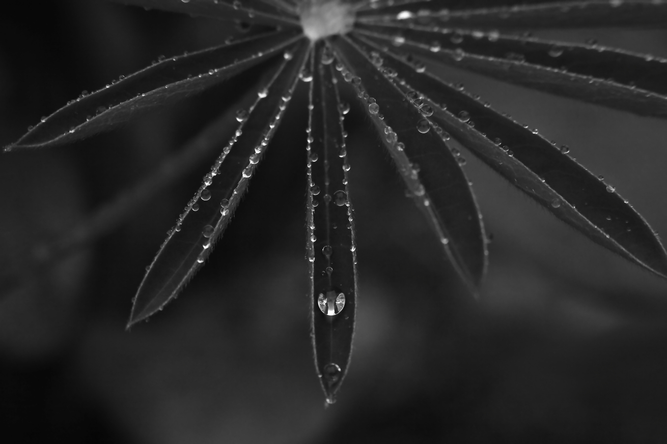 2015 05 19 HTP 000056201ebw